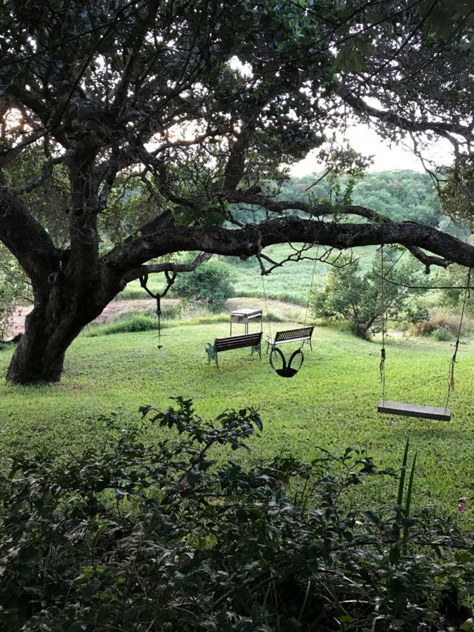Nkumbe Bush Retreat Family Home Ponta Malongane ภายนอก รูปภาพ